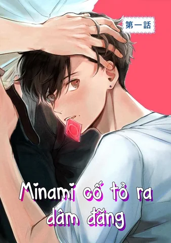 minami-co-to-ra-dam-dang